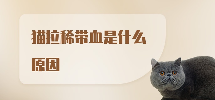 猫拉稀带血是什么原因