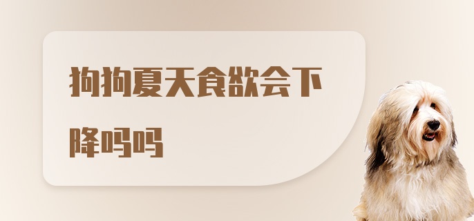 狗狗夏天食欲会下降吗吗