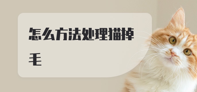 怎么方法处理猫掉毛