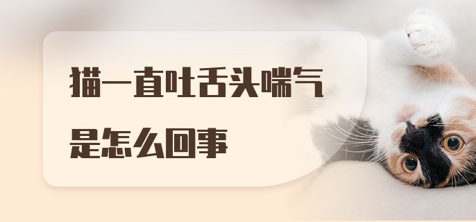 猫一直吐舌头喘气是怎么回事