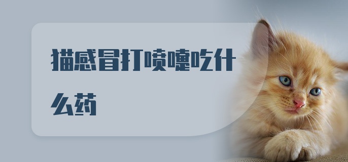 猫感冒打喷嚏吃什么药