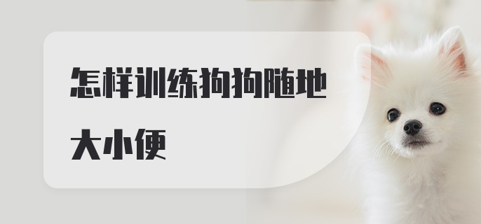 怎样训练狗狗随地大小便