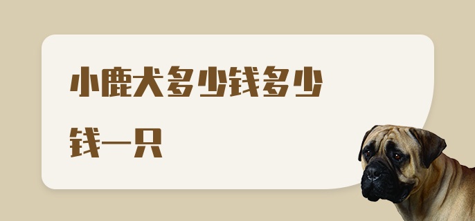 小鹿犬多少钱多少钱一只