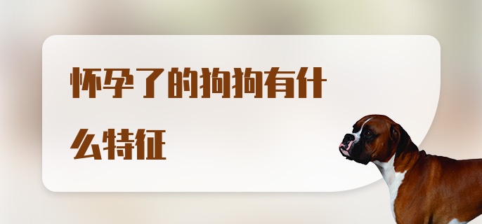 怀孕了的狗狗有什么特征