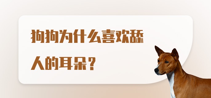 狗狗为什么喜欢舔人的耳朵？