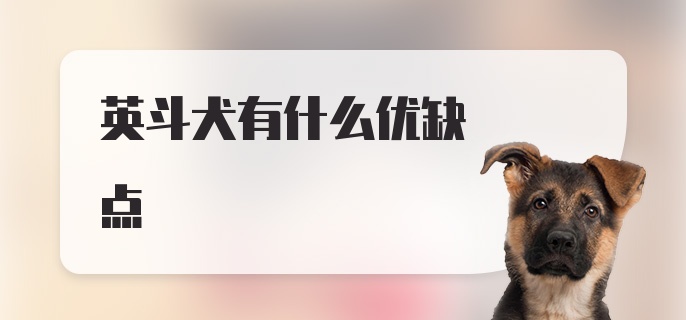 英斗犬有什么优缺点