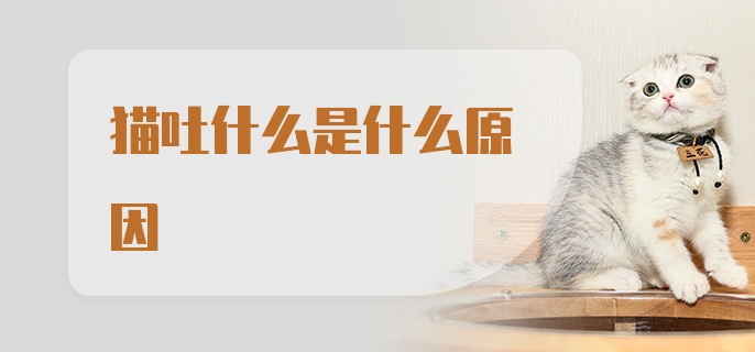 猫吐什么是什么原因