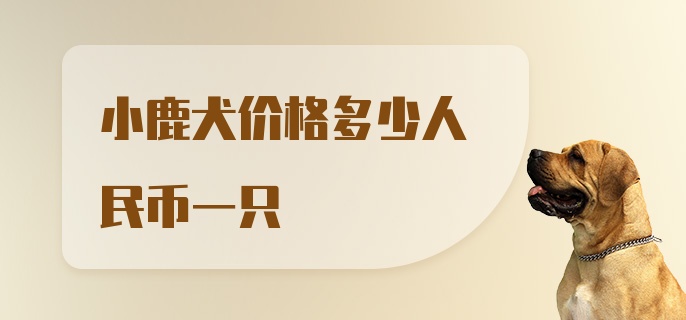 小鹿犬价格多少人民币一只