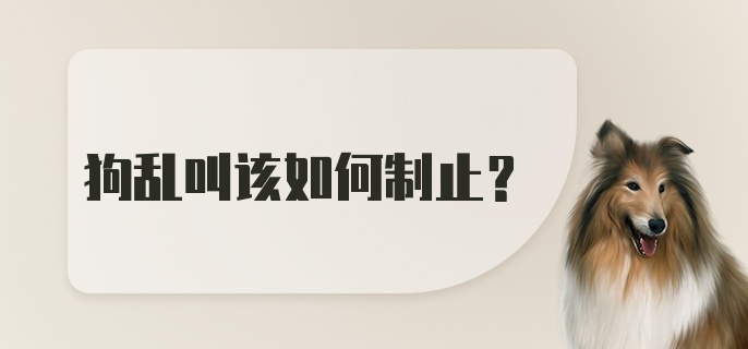 狗乱叫该如何制止？