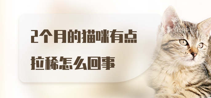 2个月的猫咪有点拉稀怎么回事