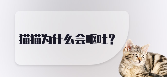 猫猫为什么会呕吐？