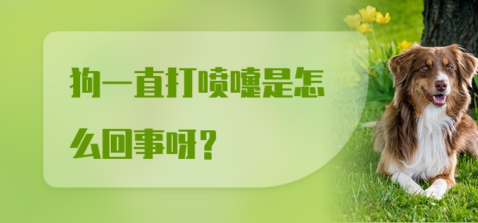 狗一直打喷嚏是怎么回事呀?