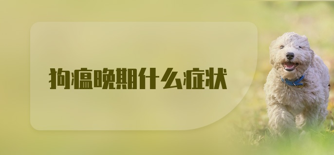 狗瘟晚期什么症状