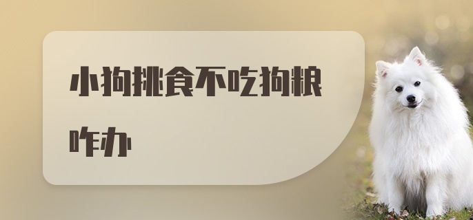 小狗挑食不吃狗粮咋办