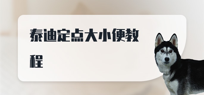 泰迪定点大小便教程