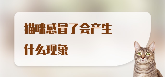 猫咪感冒了会产生什么现象