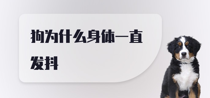 狗为什么身体一直发抖