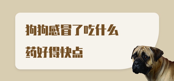 狗狗感冒了吃什么药好得快点