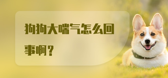 狗狗大喘气怎么回事啊？