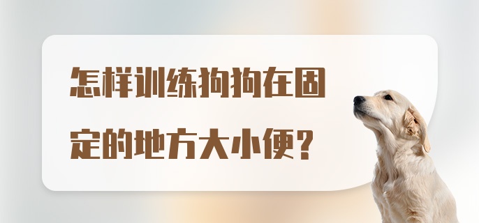 怎样训练狗狗在固定的地方大小便？