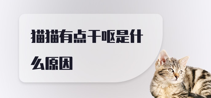 猫猫有点干呕是什么原因