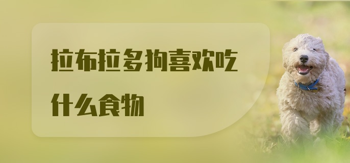 拉布拉多狗喜欢吃什么食物