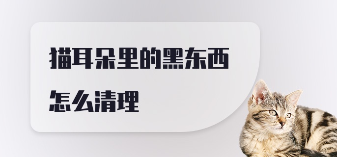 猫耳朵里的黑东西怎么清理