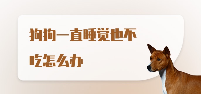 狗狗一直睡觉也不吃怎么办