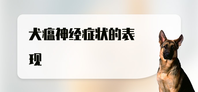 犬瘟神经症状的表现