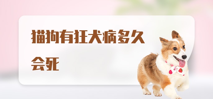 猫狗有狂犬病多久会死