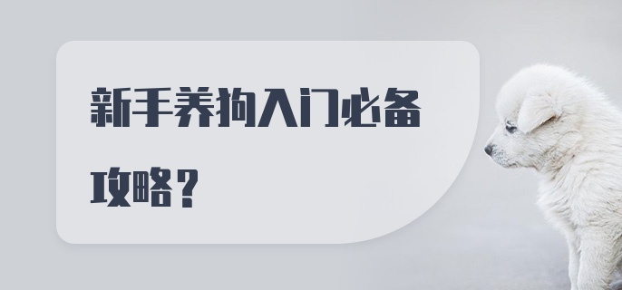 新手养狗入门必备攻略？