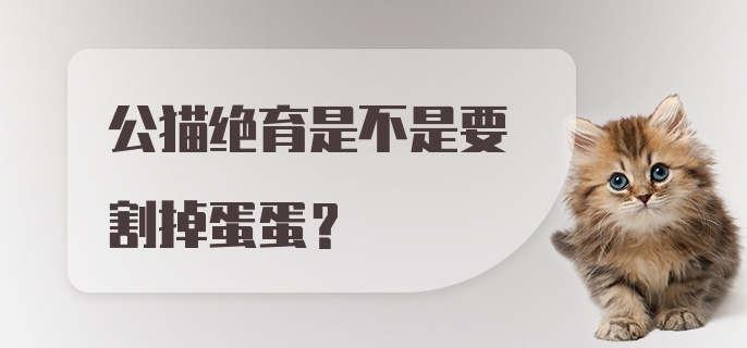 公猫绝育是不是要割掉蛋蛋？