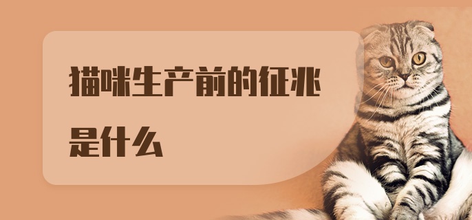 猫咪生产前的征兆是什么