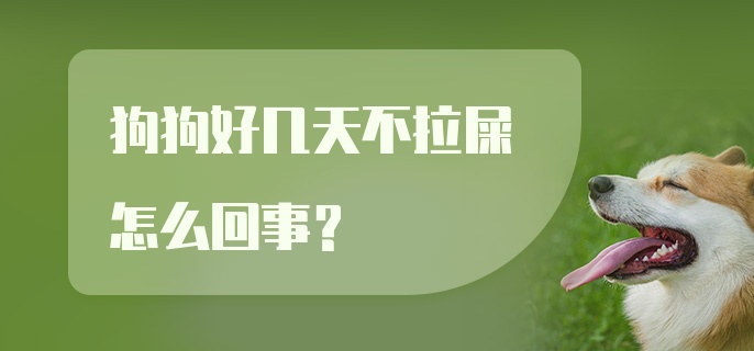 狗狗好几天不拉屎怎么回事?