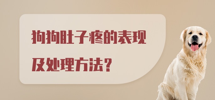 狗狗肚子疼的表现及处理方法?