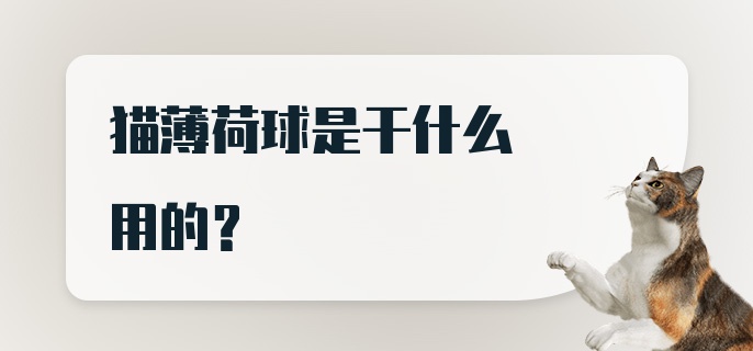 猫薄荷球是干什么用的？