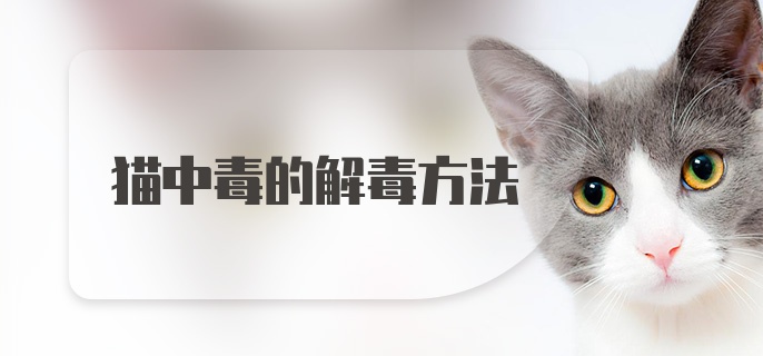 猫中毒的解毒方法