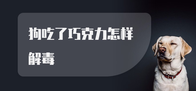 狗吃了巧克力怎样解毒