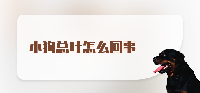 小狗总吐怎么回事