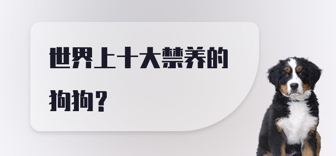 世界上十大禁养的狗狗？