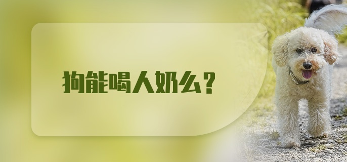 狗能喝人奶么？