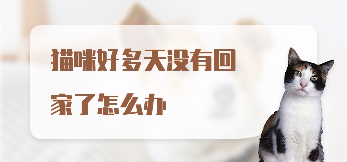 猫咪好多天没有回家了怎么办