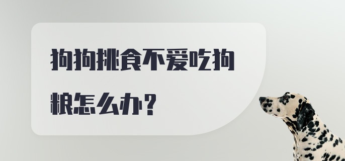 狗狗挑食不爱吃狗粮怎么办？