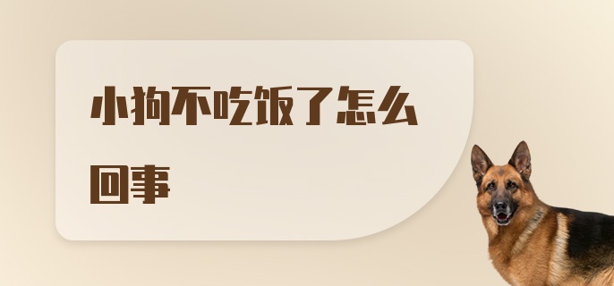 小狗不吃饭了怎么回事