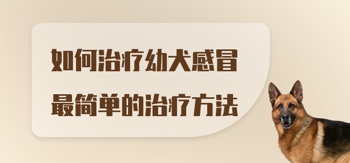 如何治疗幼犬感冒最简单的治疗方法