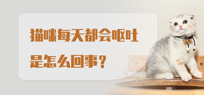 猫咪每天都会呕吐是怎么回事？