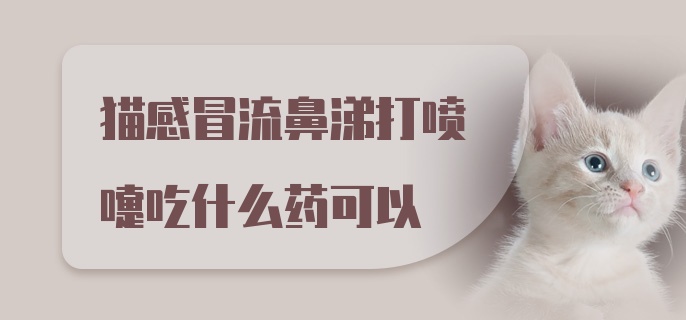 猫感冒流鼻涕打喷嚏吃什么药可以