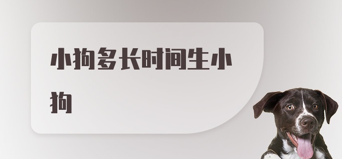 小狗多长时间生小狗