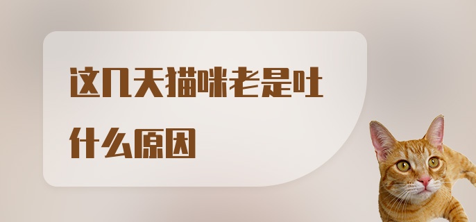 这几天猫咪老是吐什么原因