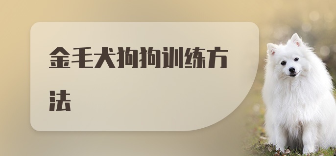 金毛犬狗狗训练方法